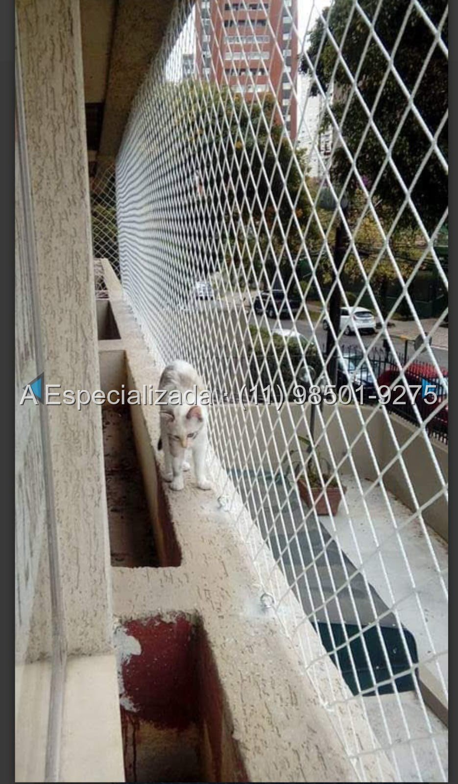 Foto de instalação 33